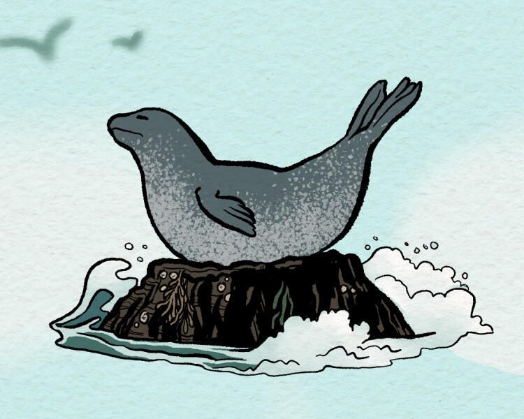 Banana pose seal sticker design